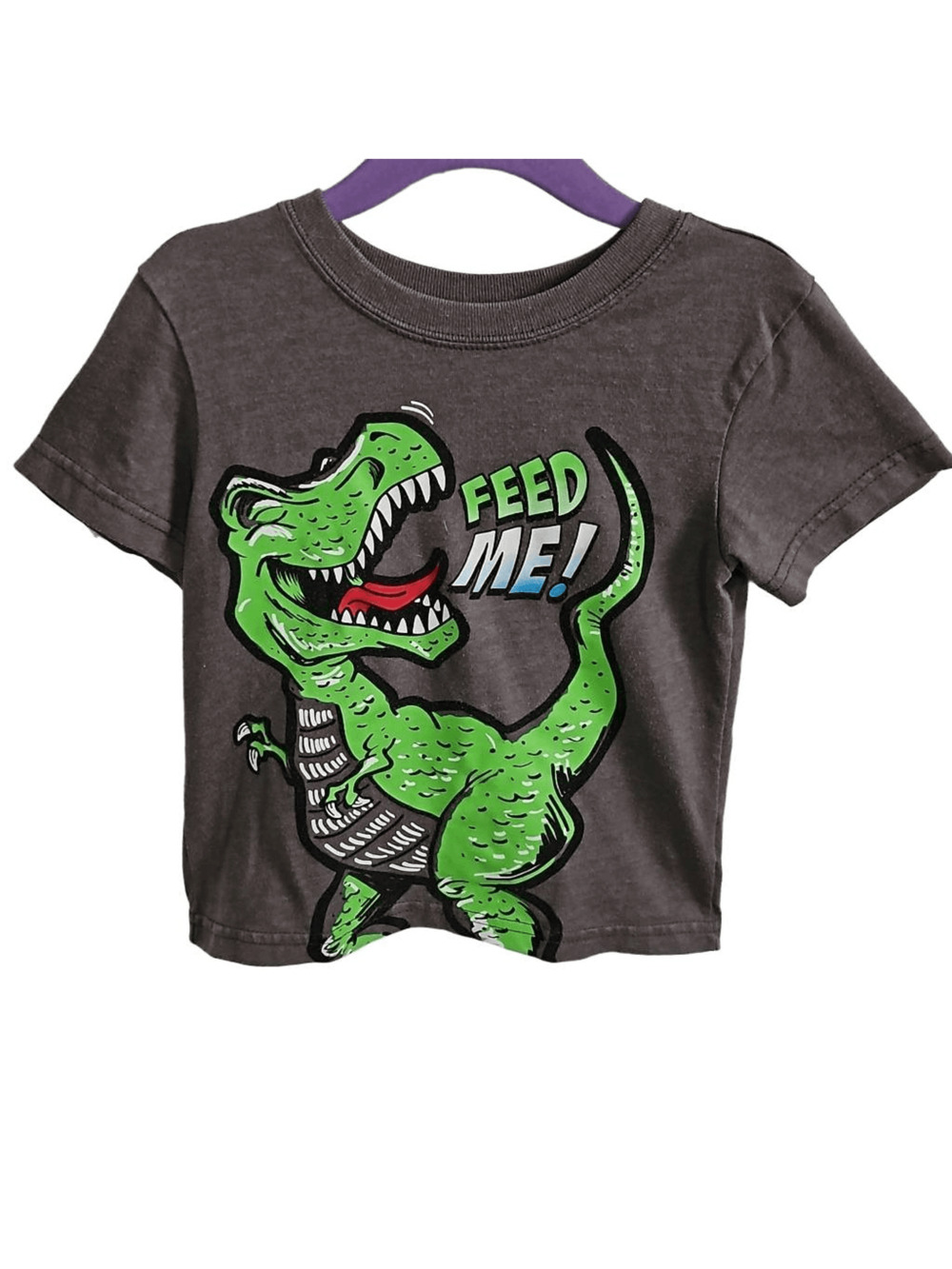 Garanimals Kids 2T Short Sleeve Graphic Dinosaur Tee Gray Feed Me T Rex Shirt